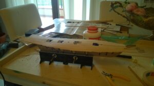 Albatros Mantua Model in costruzione