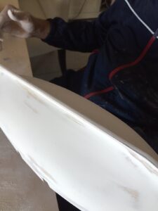 Albatros Mantua Model